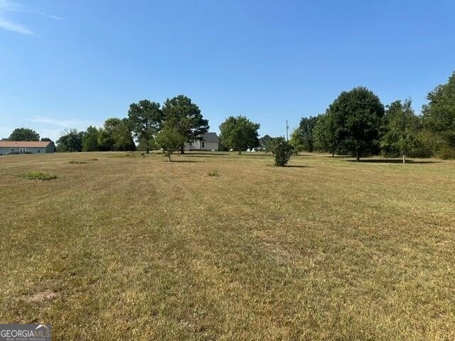 695 Teamon Road Griffin - Photo 13