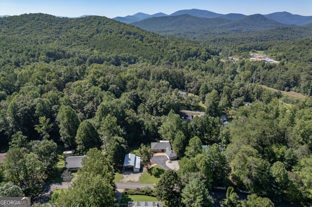 527 Pinebrook Drive Blairsville - Photo 24