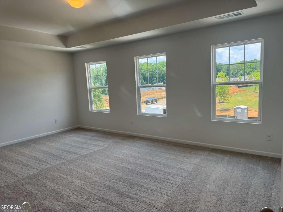 341 Bloomfield Circle Canton - Photo 12