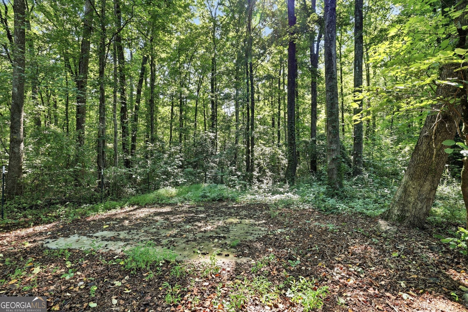 342 Stonington Drive Mount Airy - Photo 58