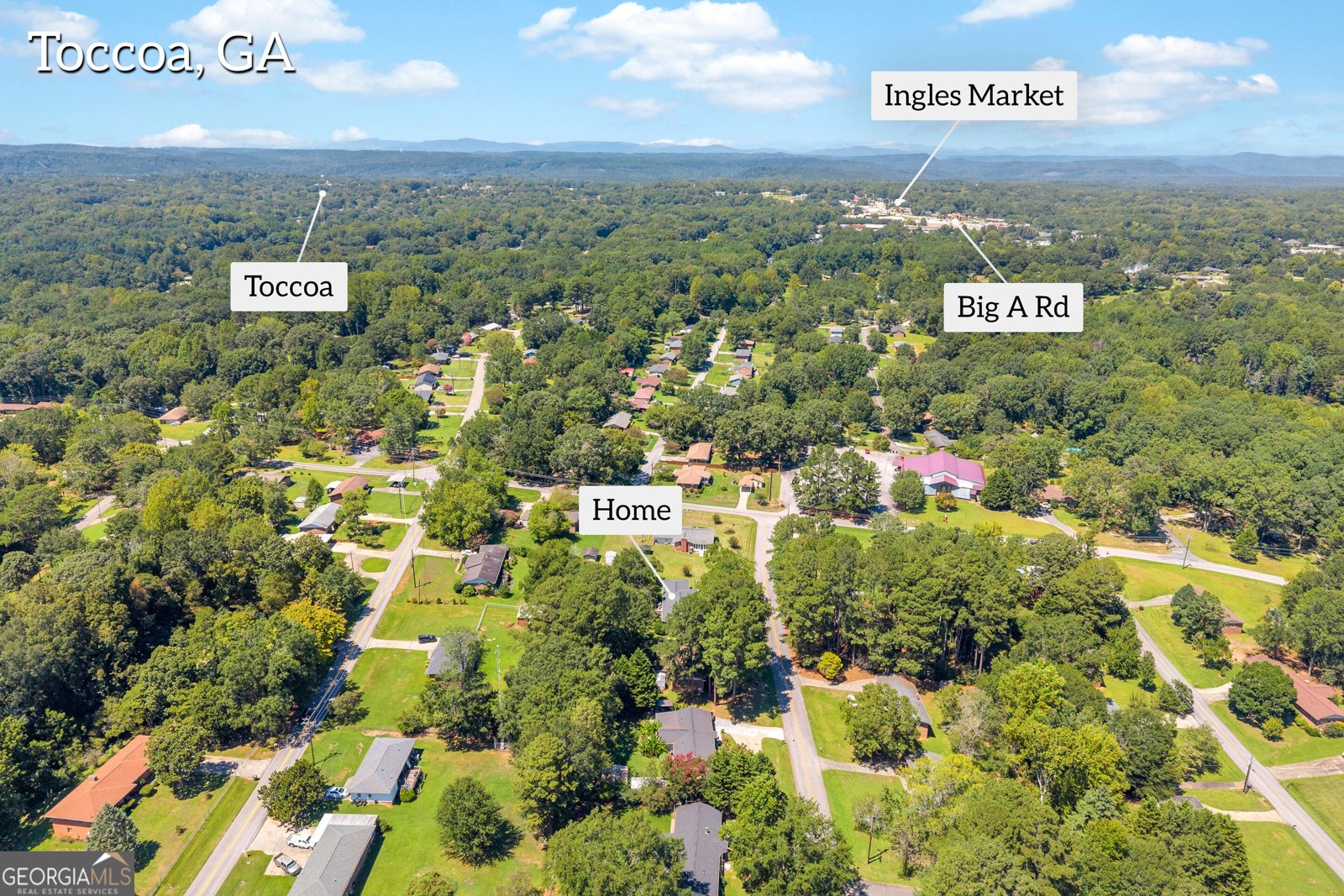 38 Julia Lane Toccoa - Photo 53