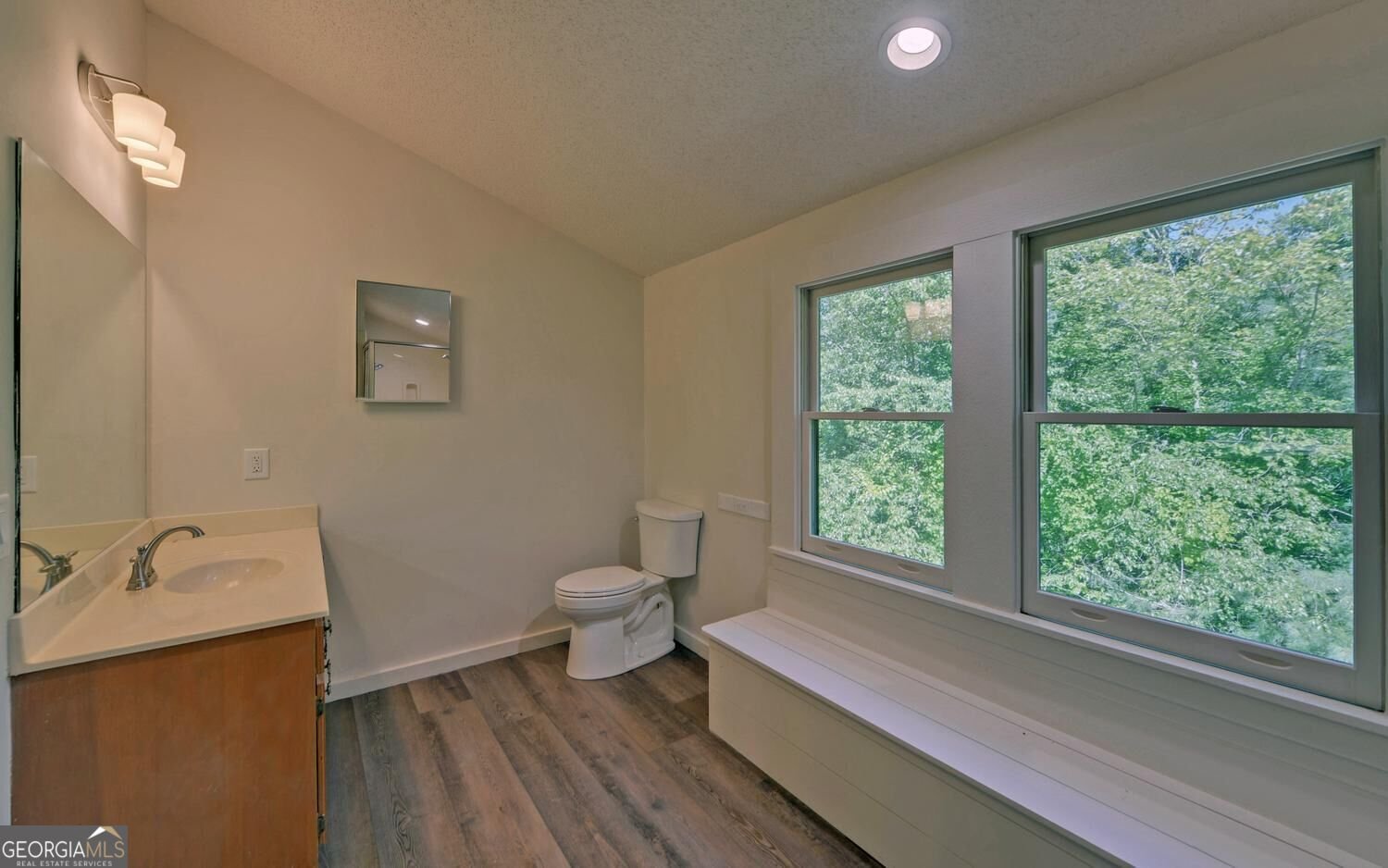 1799 Seed Lake Road Lakemont - Photo 22