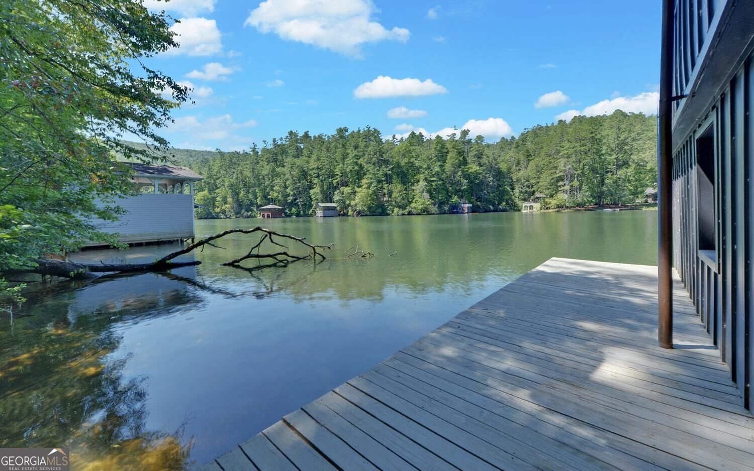 1799 Seed Lake Road Lakemont - Photo 53