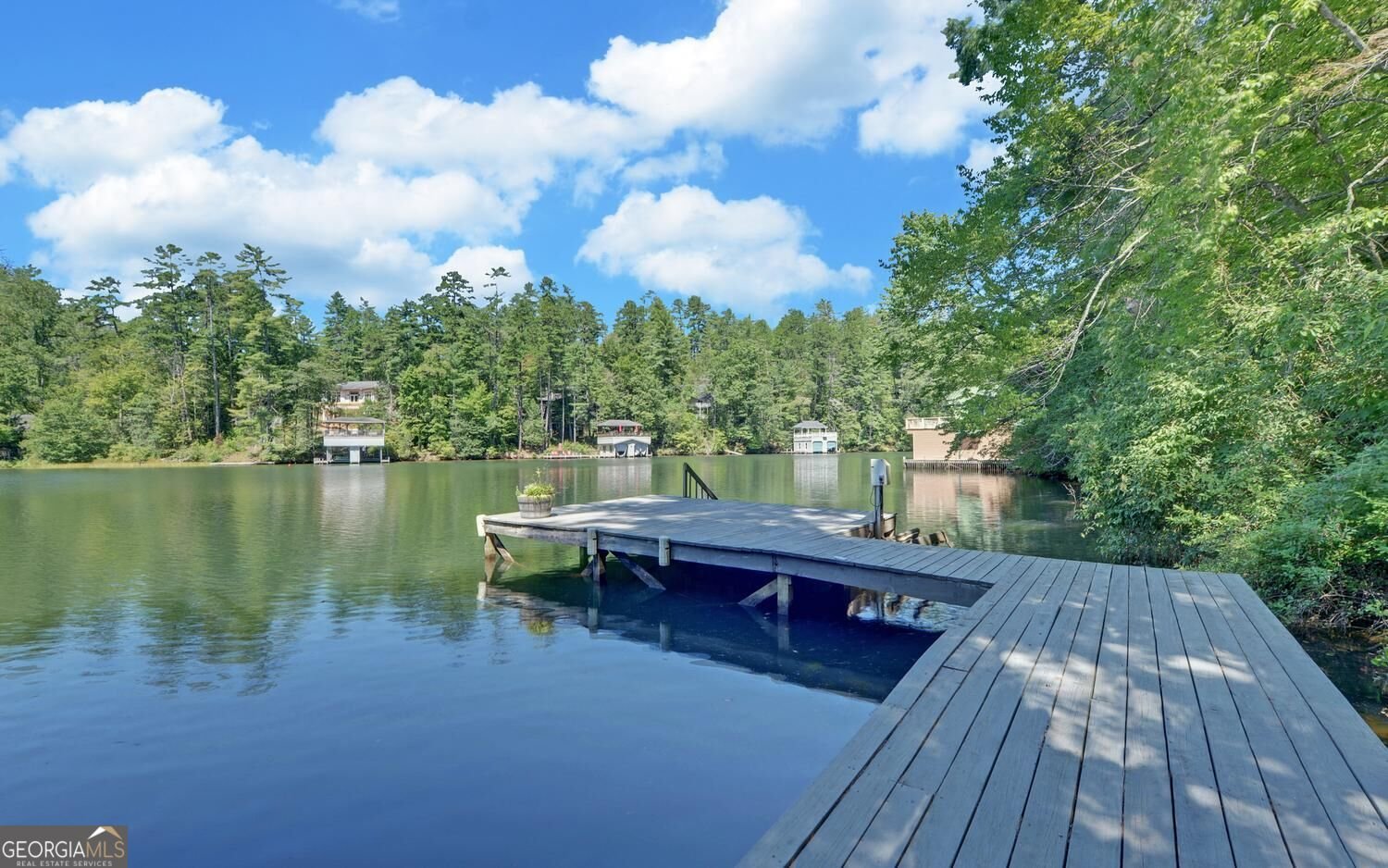 1799 Seed Lake Road Lakemont - Photo 54