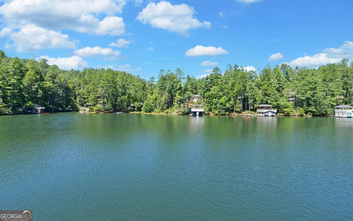 1799 Seed Lake Road Lakemont - Photo 57