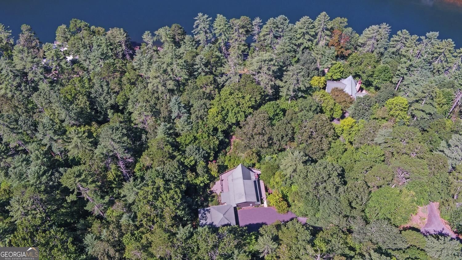 1799 Seed Lake Road Lakemont - Photo 63
