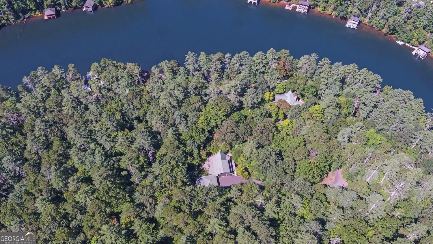 1799 Seed Lake Road Lakemont - Photo 64