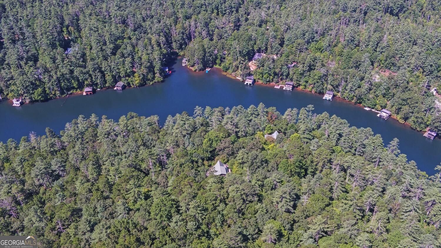 1799 Seed Lake Road Lakemont - Photo 66