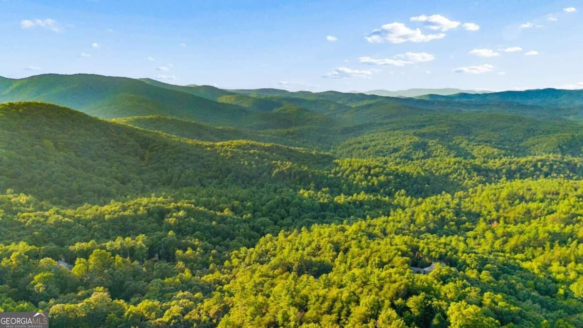 252 Wild Turkey Bluffs Jasper - Photo 58