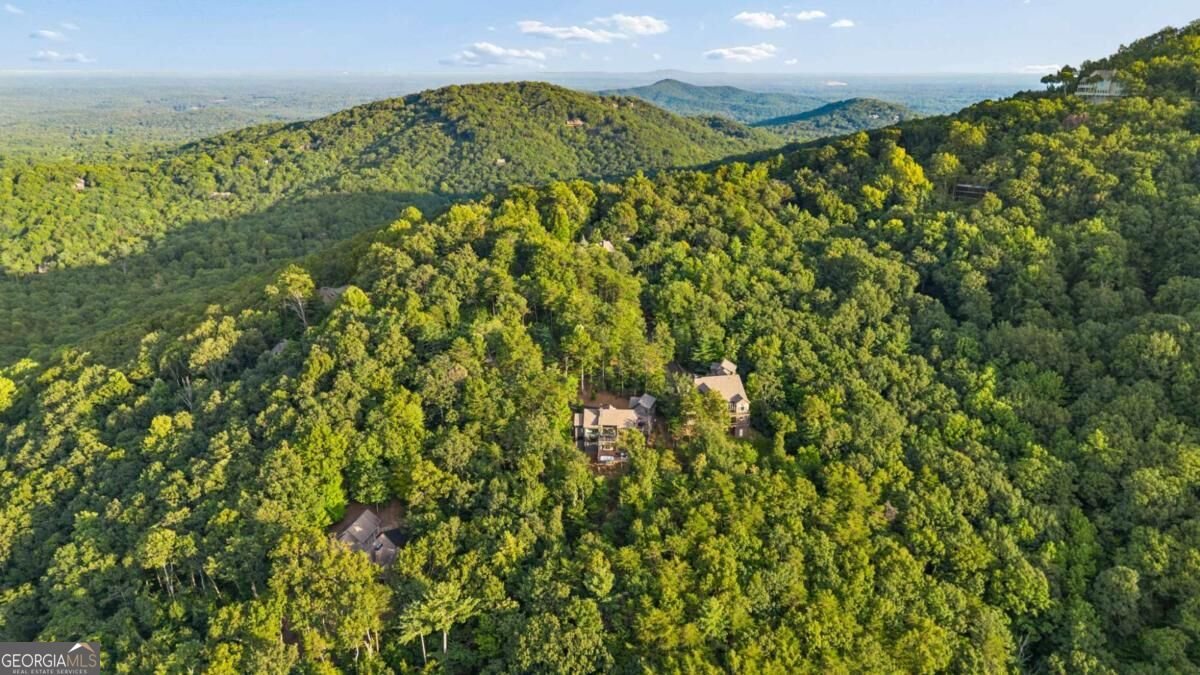 252 Wild Turkey Bluffs Jasper - Photo 59