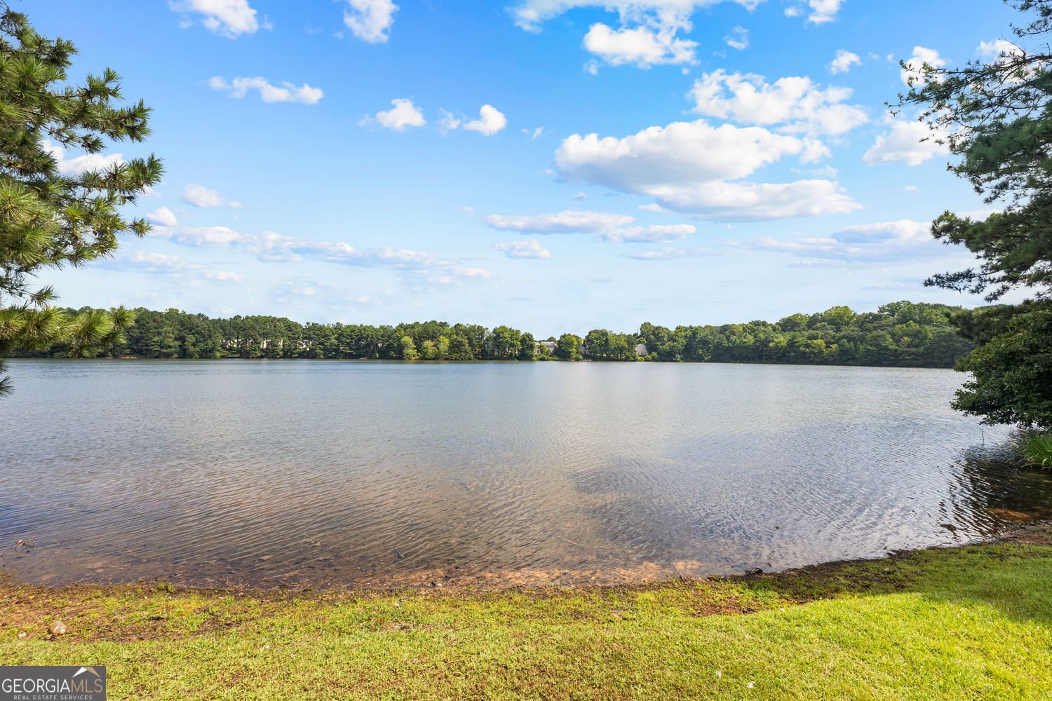 55 Lakeside Point Covington - Photo 42