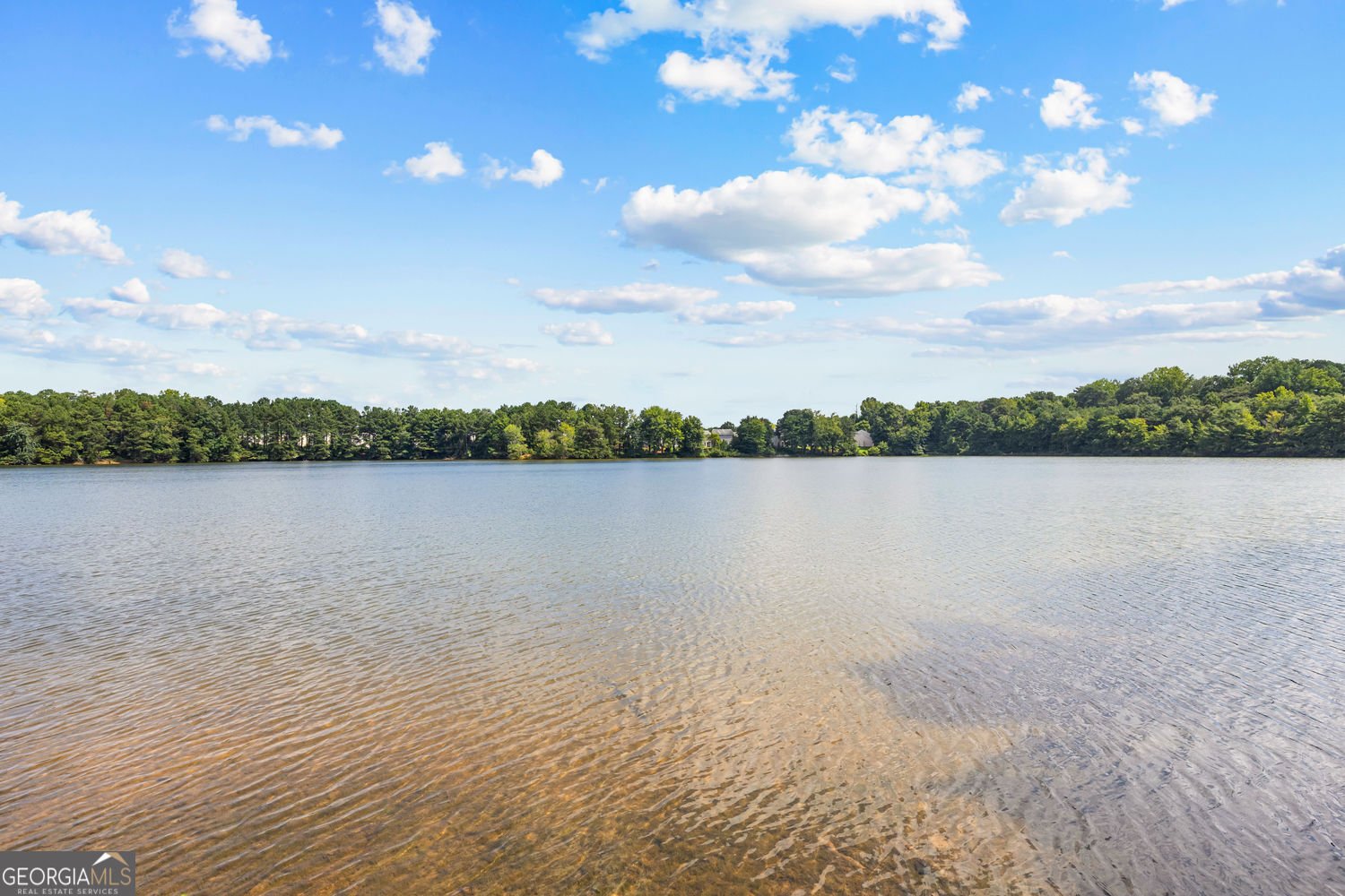 55 Lakeside Point Covington - Photo 43