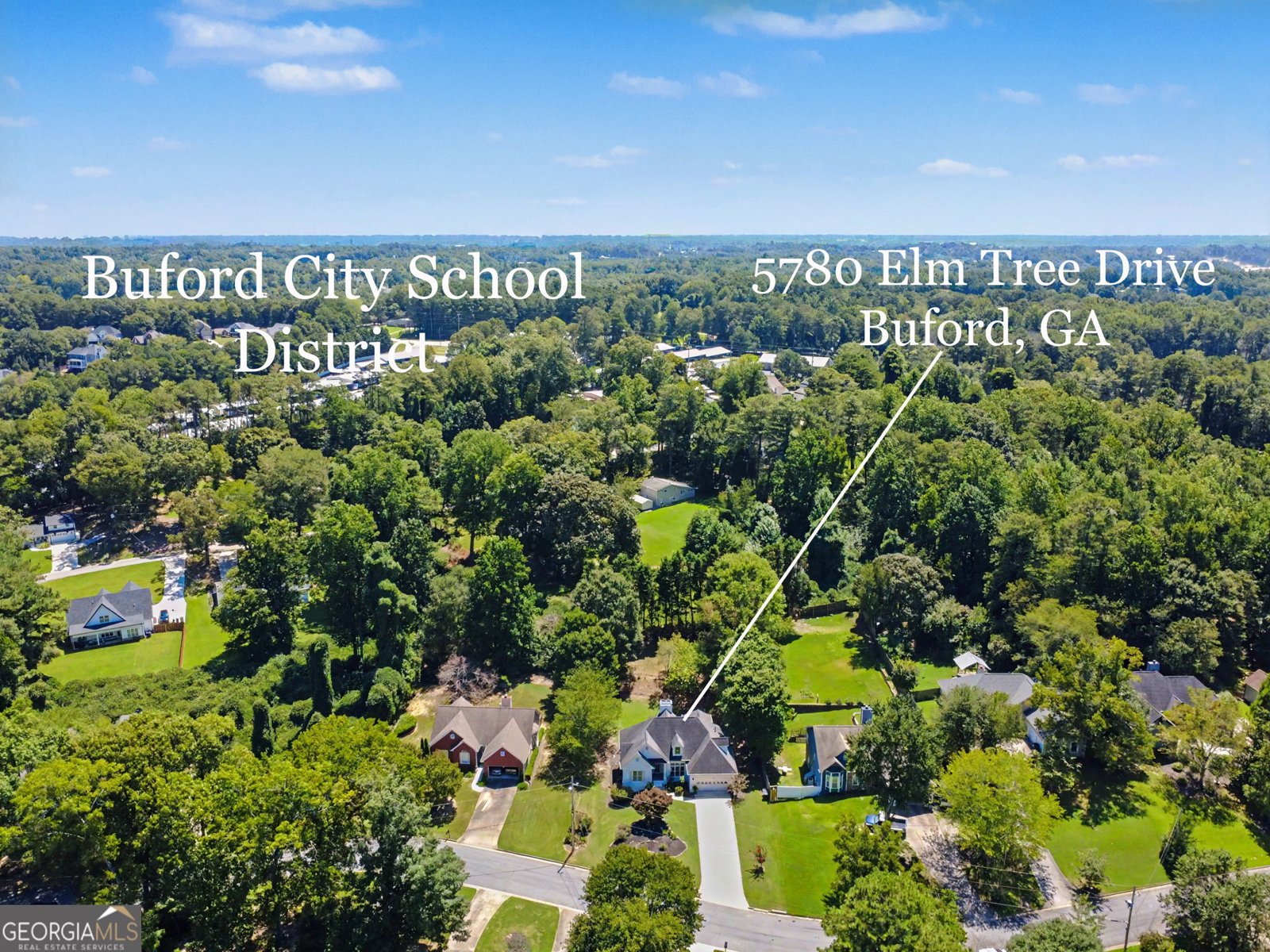 5780 Elm Tree Drive Buford - Photo 43