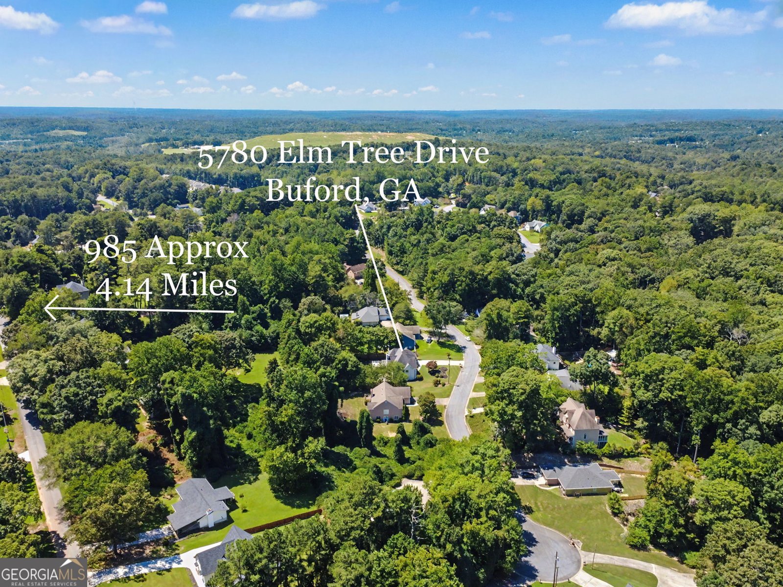 5780 Elm Tree Drive Buford - Photo 45