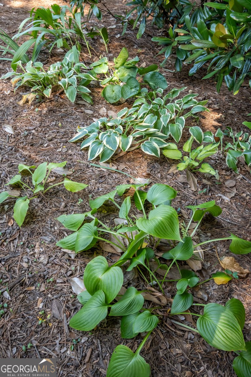 133 Stafford Drive Athens - Photo 44