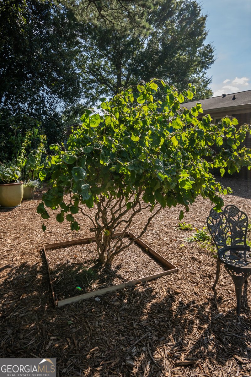 133 Stafford Drive Athens - Photo 46
