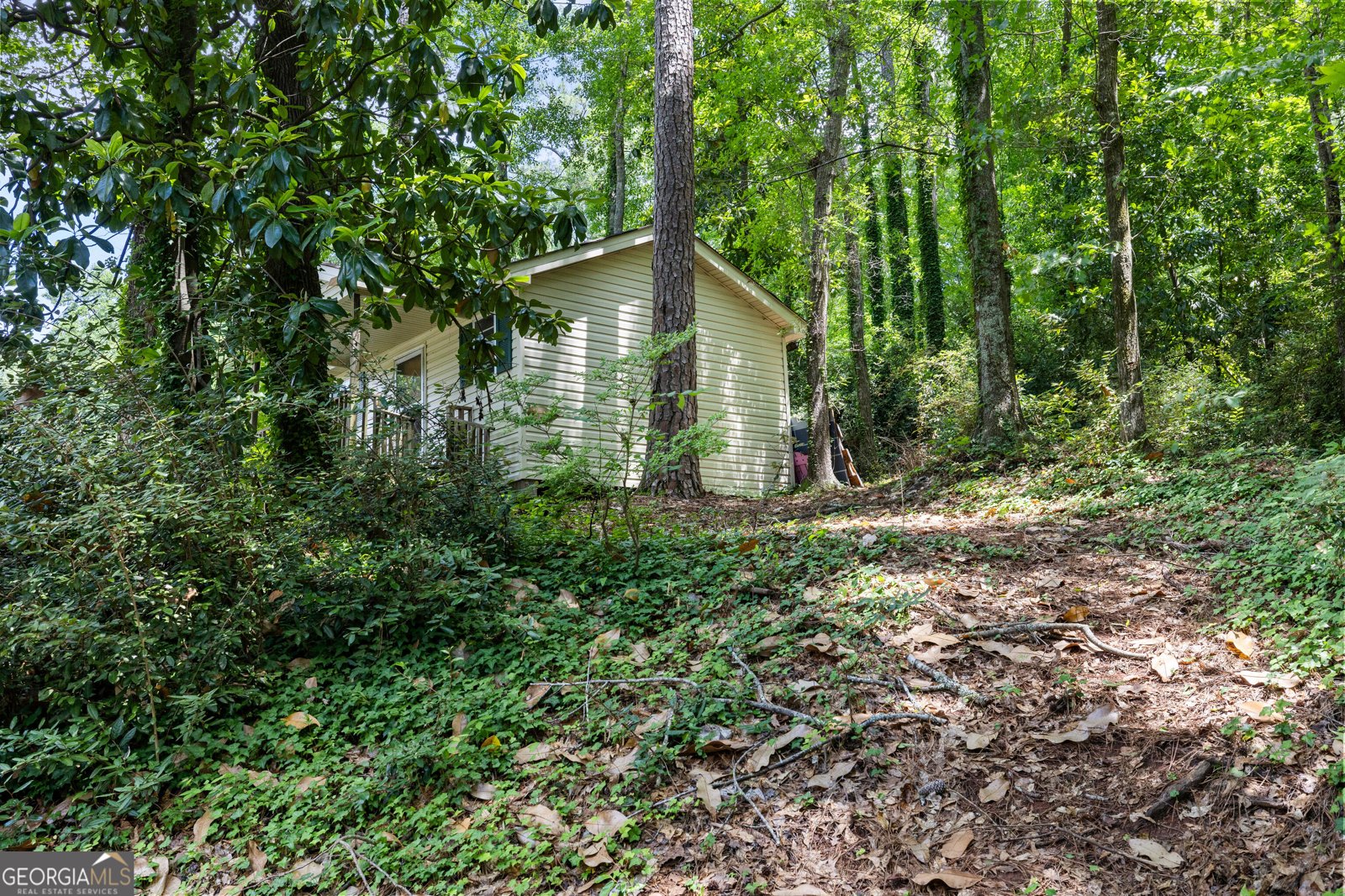 309 Nelson Drive Thomaston - Photo 45