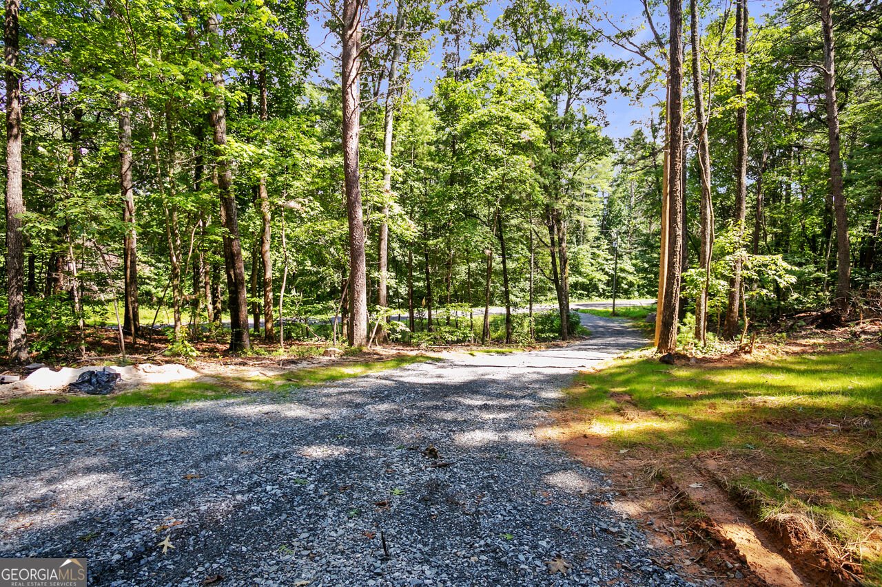 8827 Big Creek Road Ellijay - Photo 33