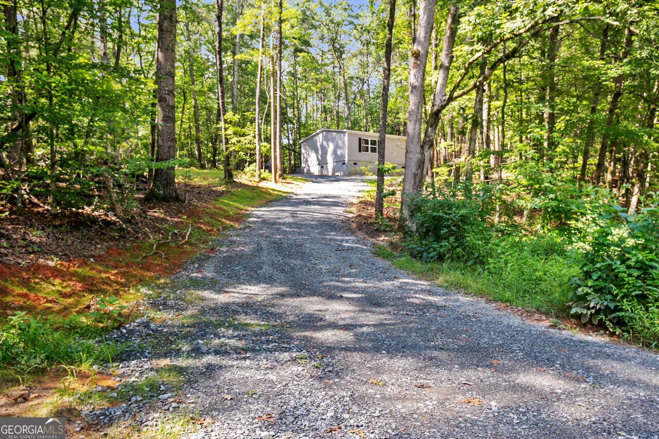 8827 Big Creek Road Ellijay - Photo 35