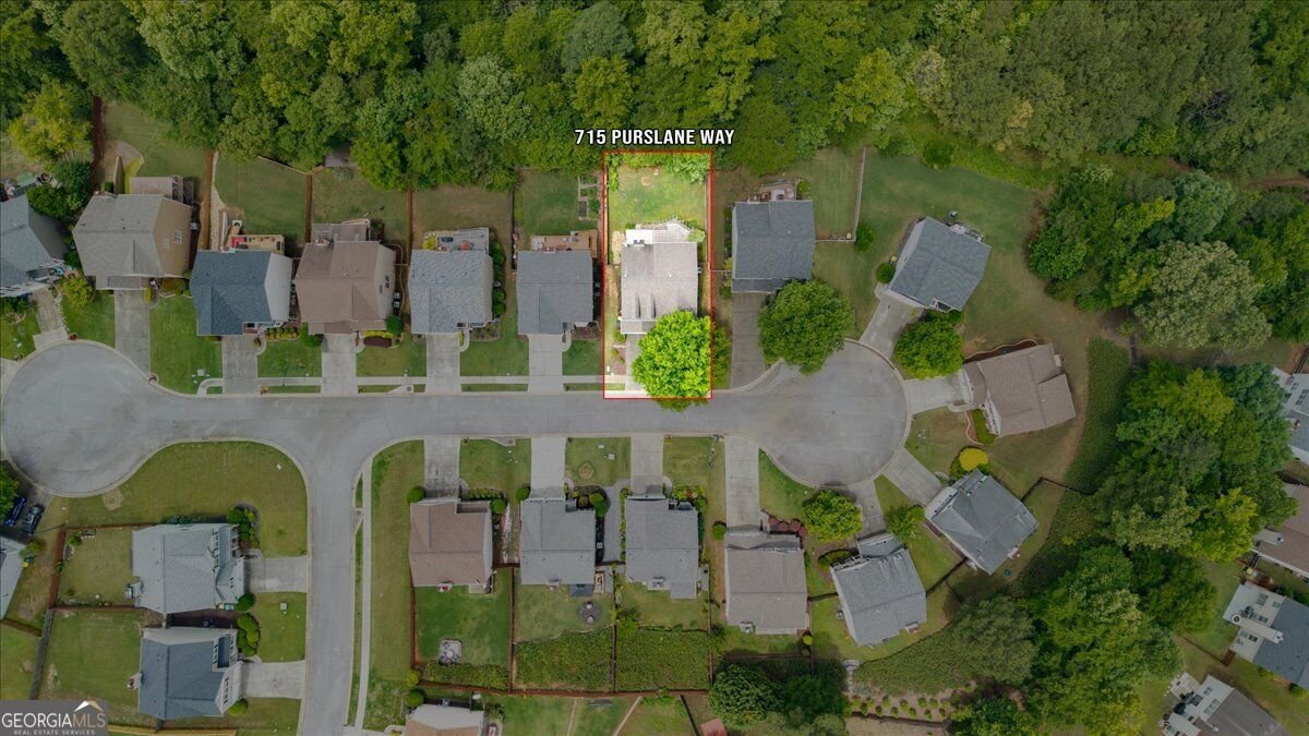 715 Purslane Way Woodstock - Photo 47