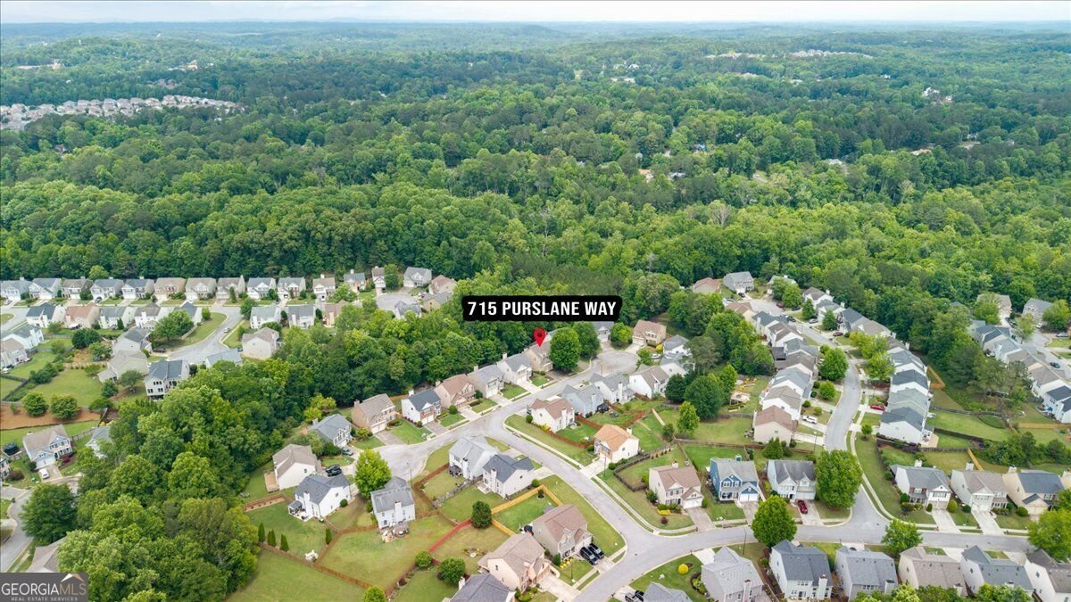 715 Purslane Way Woodstock - Photo 48