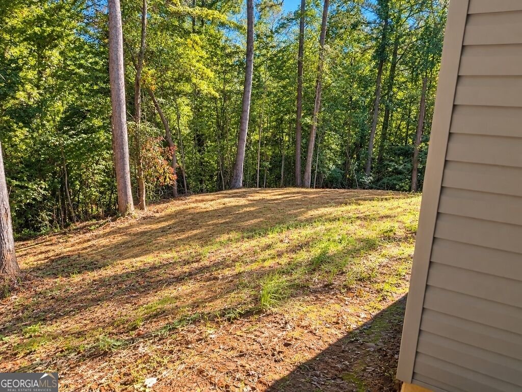 97 Juniper Drive Ellijay - Photo 10