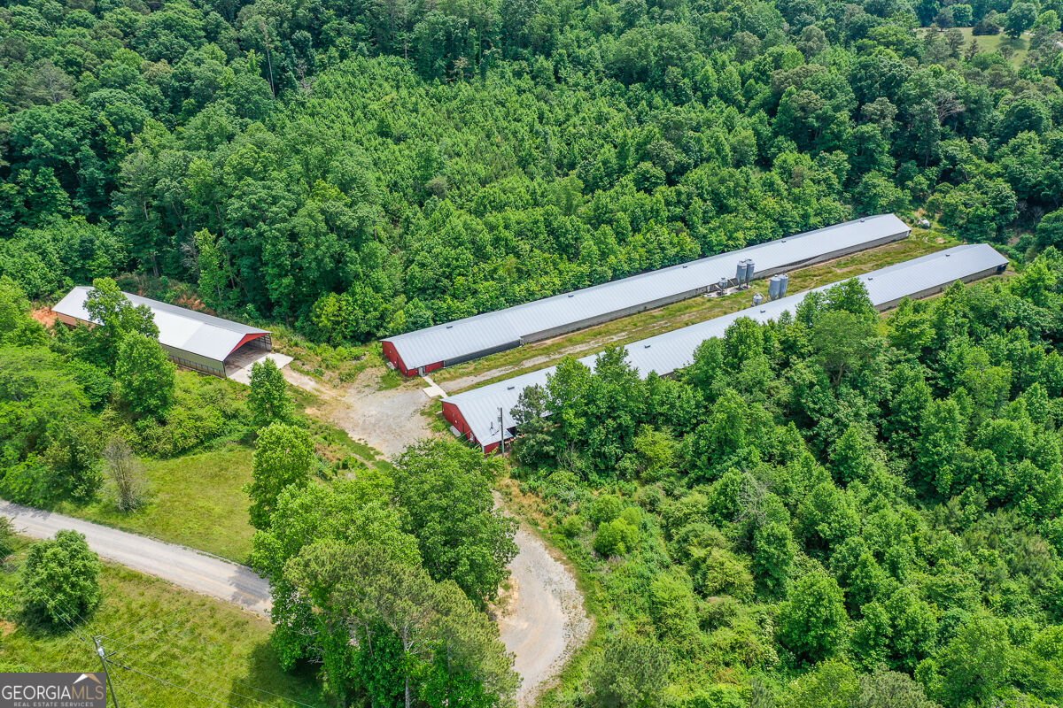 1010 Painter Road Talking Rock - Photo 11