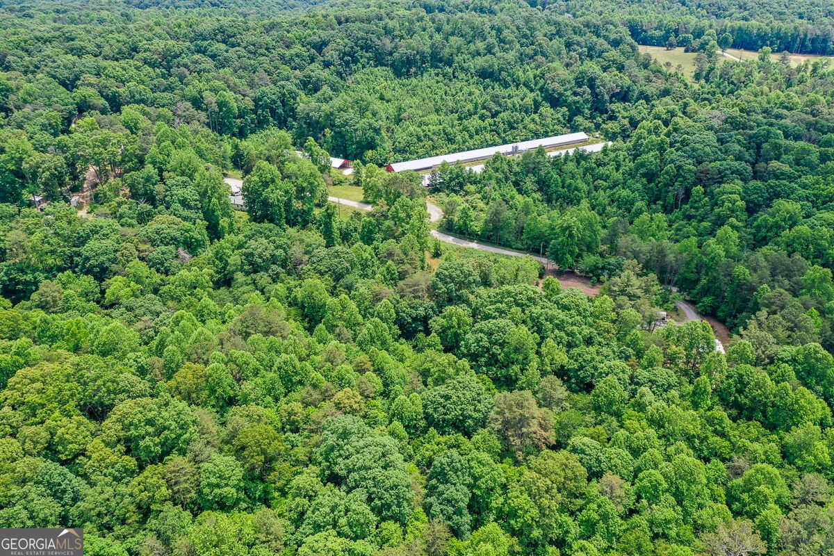 1010 Painter Road Talking Rock - Photo 12