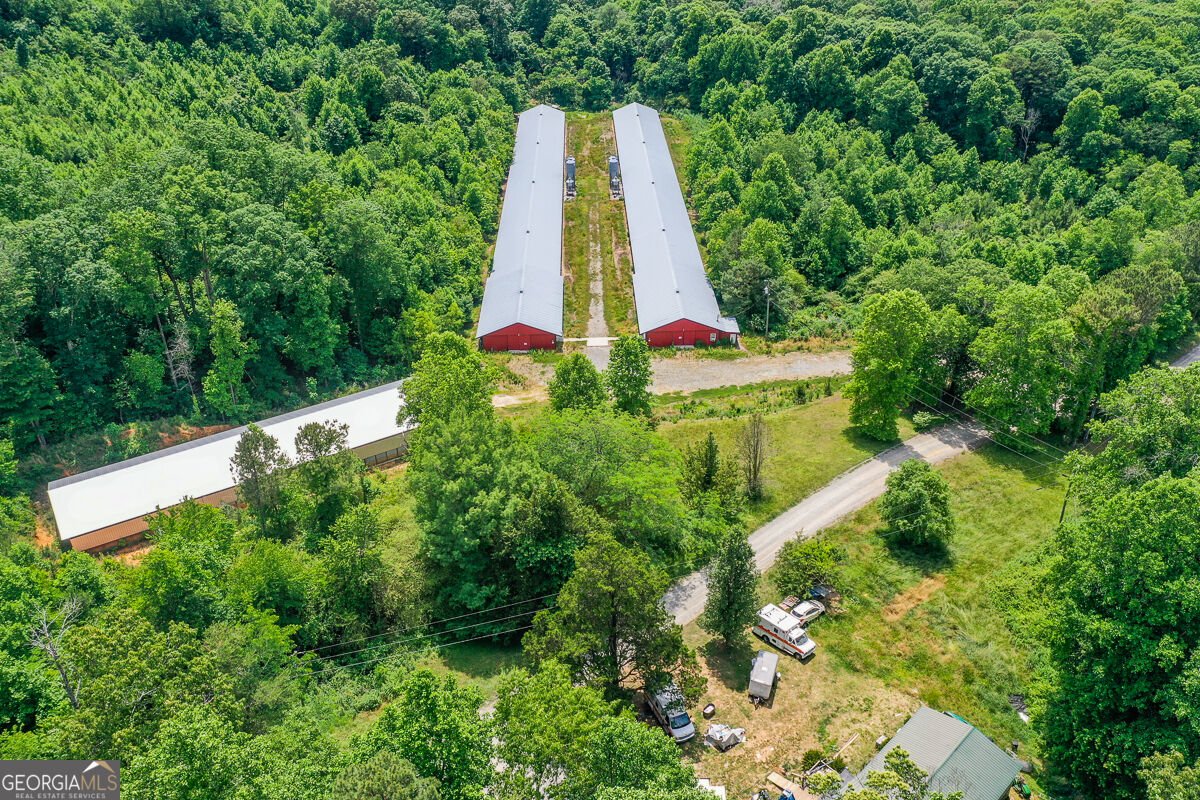 1010 Painter Road Talking Rock - Photo 13