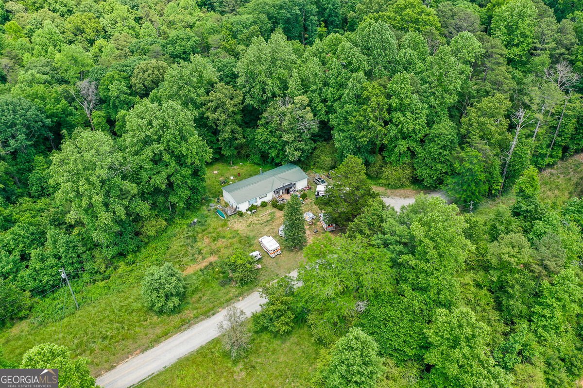 1010 Painter Road Talking Rock - Photo 16
