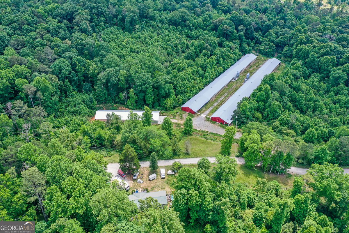 1010 Painter Road Talking Rock - Photo 17