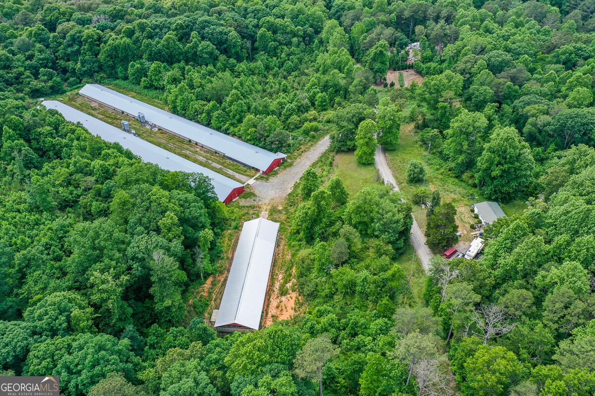 1010 Painter Road Talking Rock - Photo 19