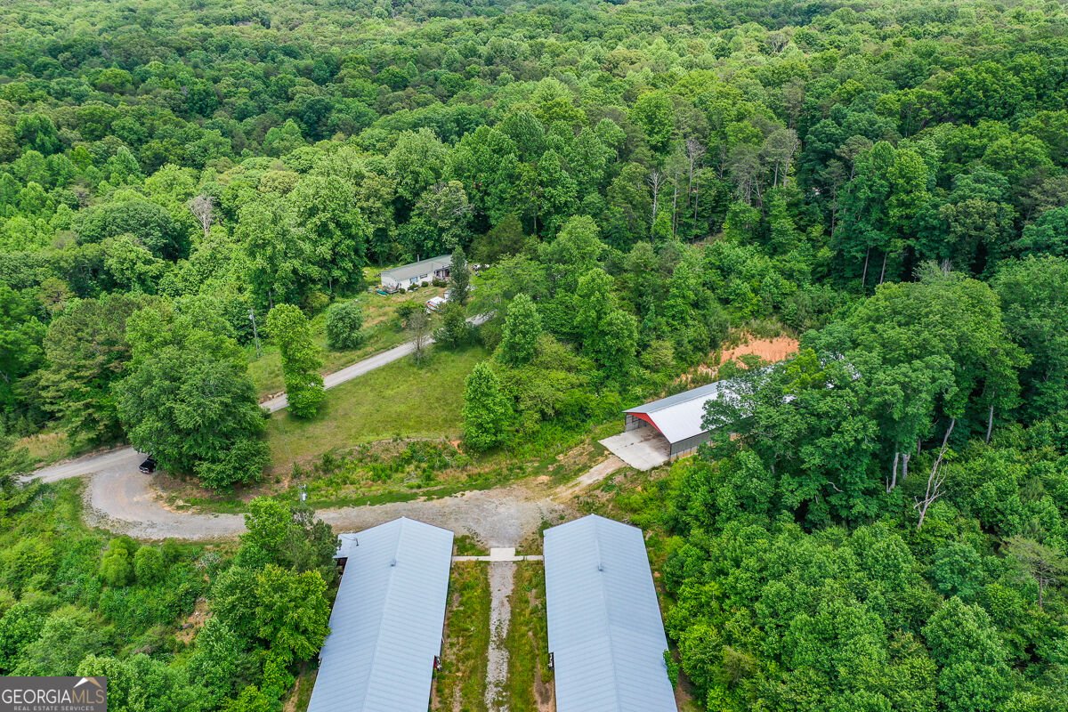 1010 Painter Road Talking Rock - Photo 21