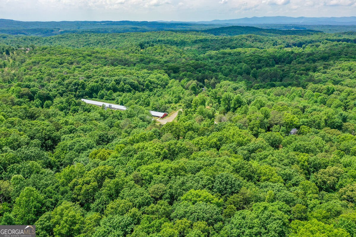 1010 Painter Road Talking Rock - Photo 22
