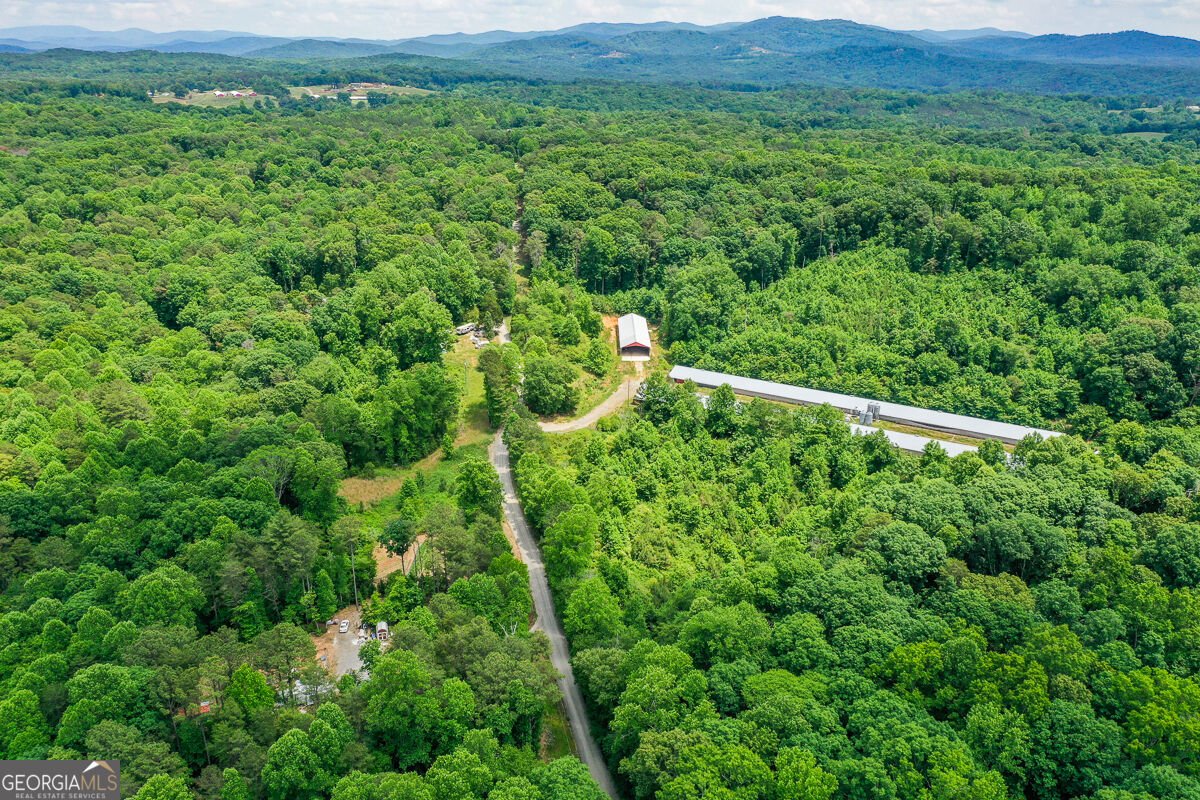 1010 Painter Road Talking Rock - Photo 25