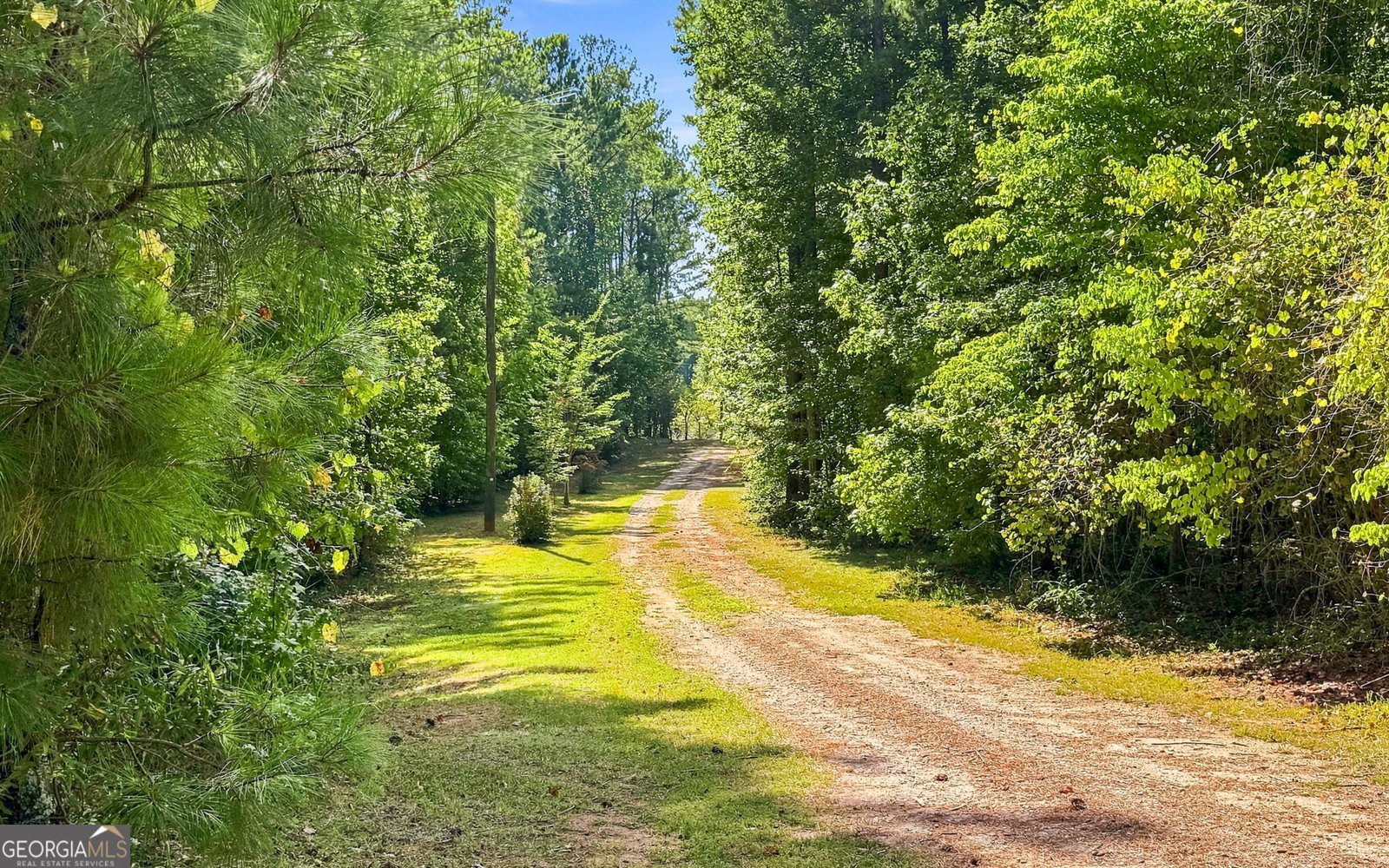 2762 Lester Mill Road Locust Grove - Photo 46