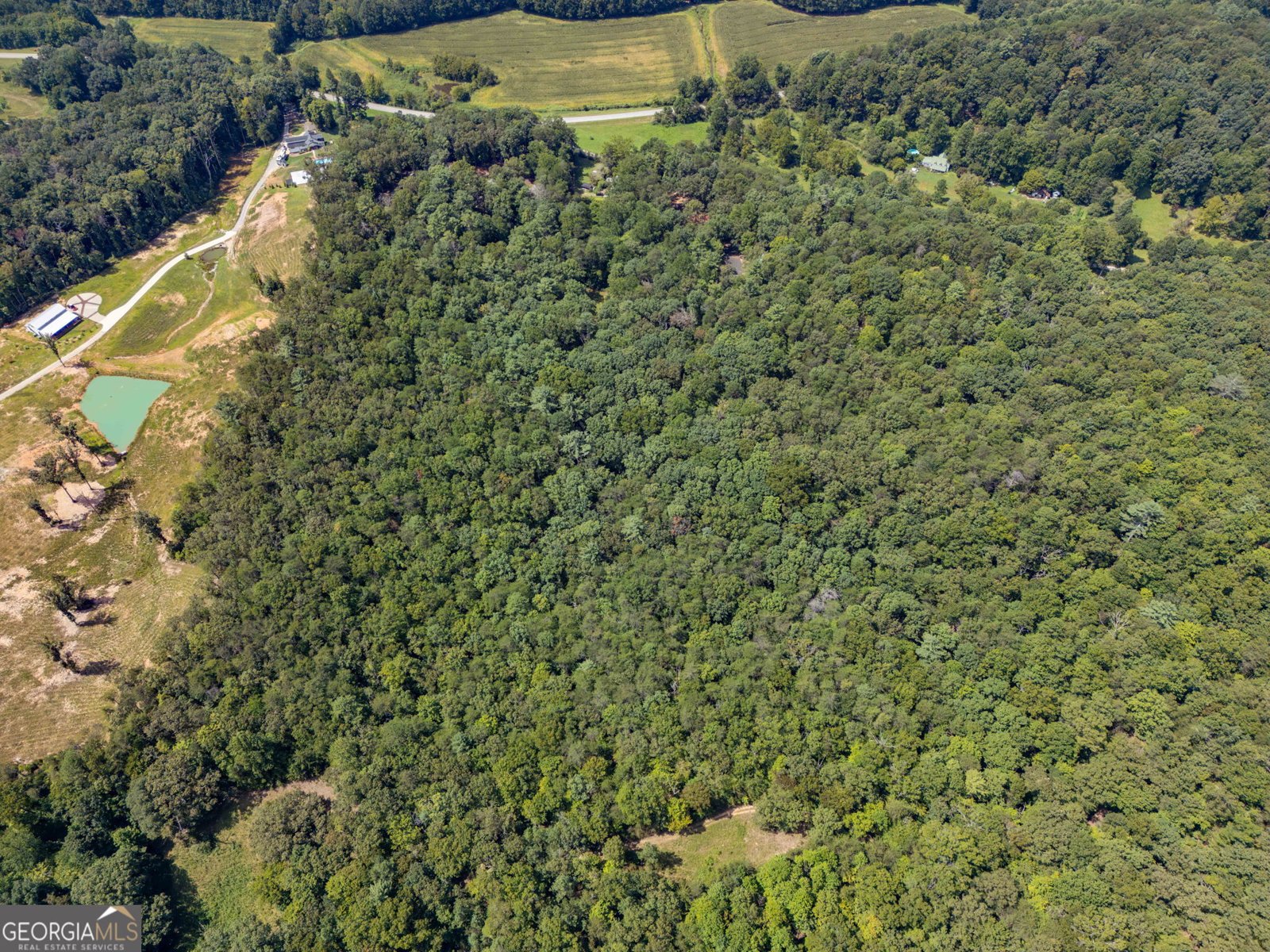 112 Kennedy Mountain Road Clarkesville - Photo 12