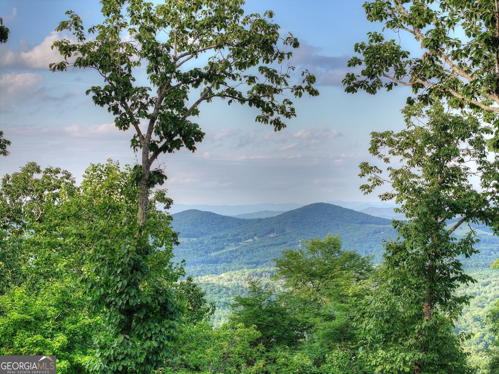 224 Eagle Ridge Morganton - Photo 26