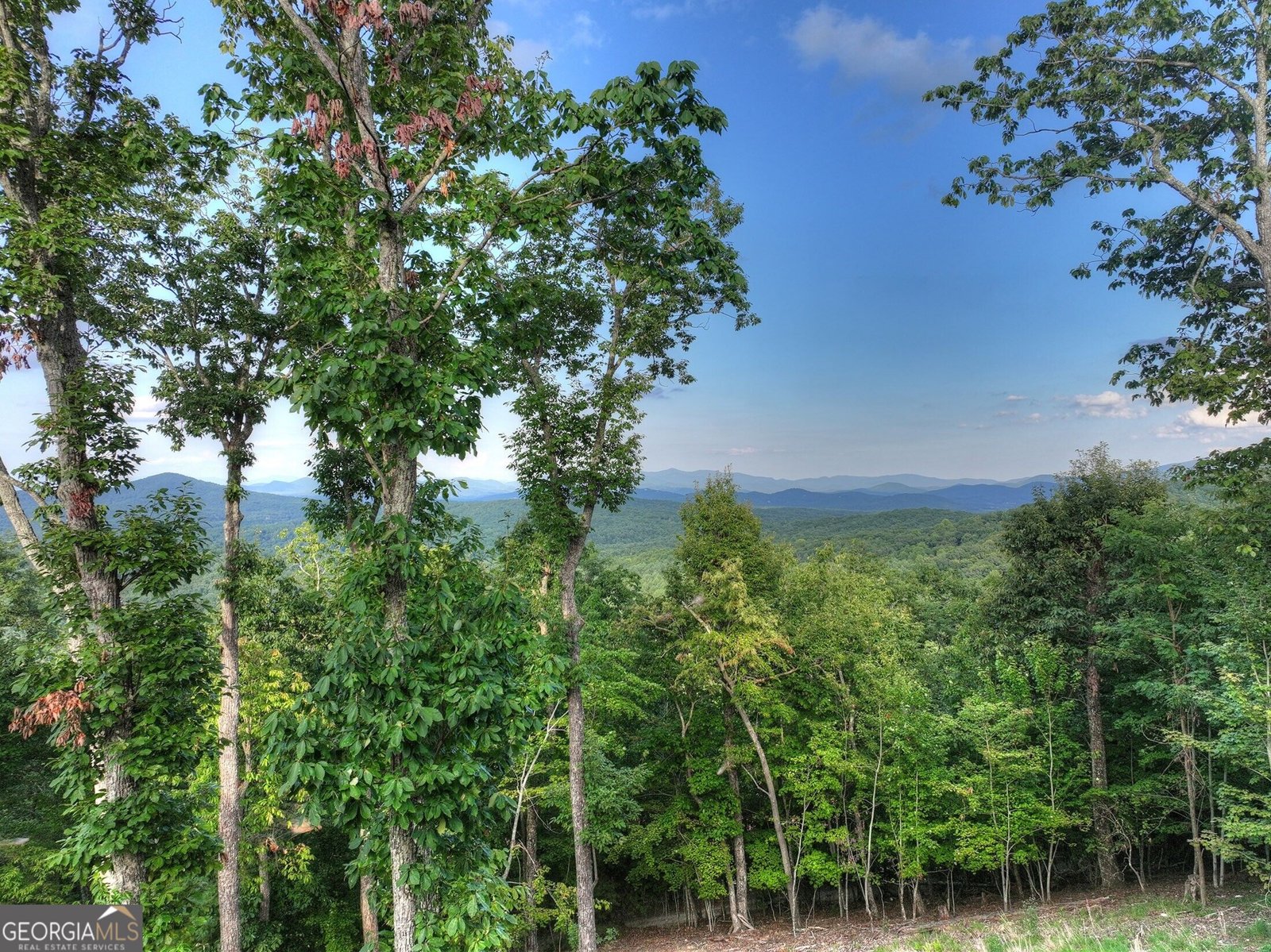 224 Eagle Ridge Morganton - Photo 27