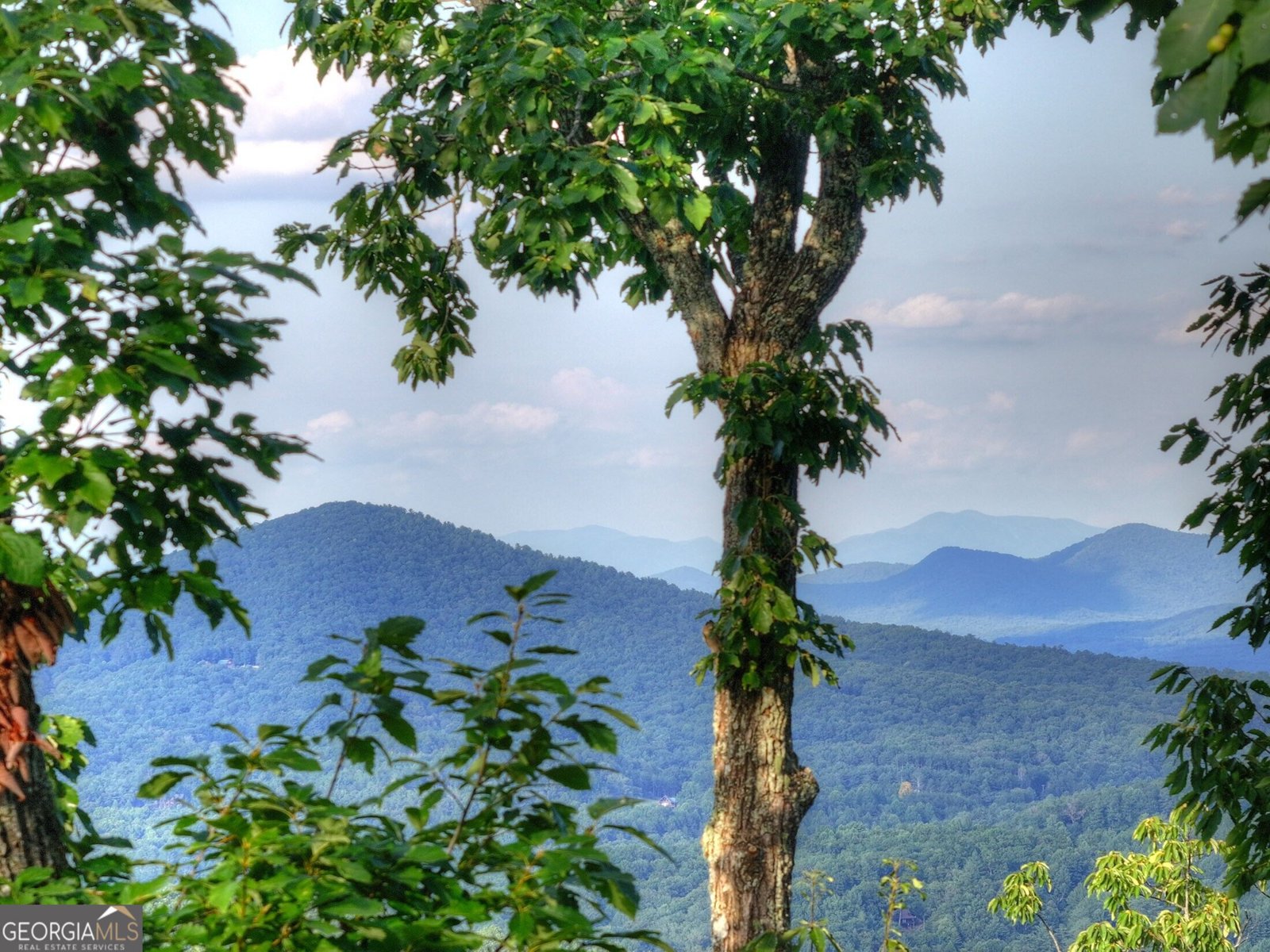 224 Eagle Ridge Morganton - Photo 32