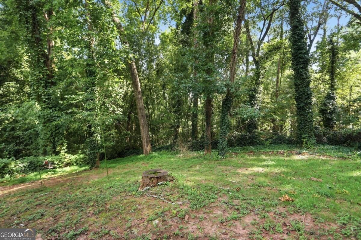 1633 Pine Glen Circle Decatur - Photo 22