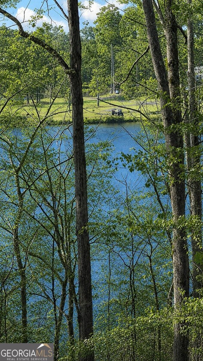 5012 Fairview Circle Villa Rica - Photo 30