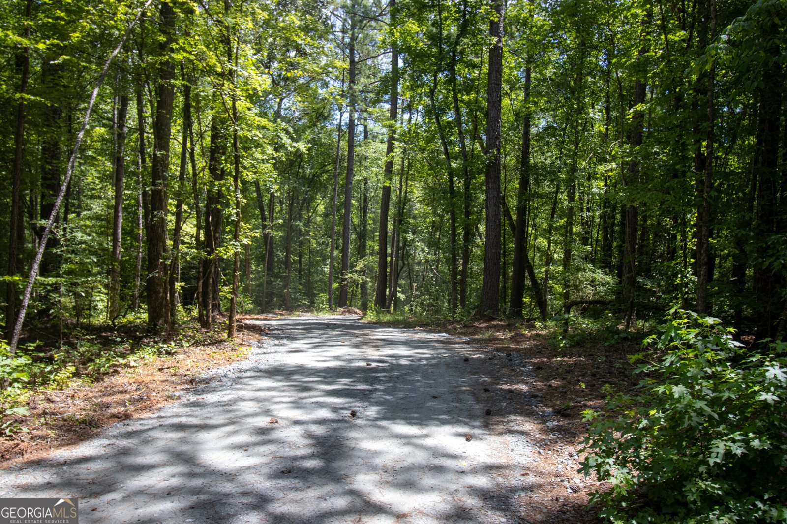 3317 HWY 42N Forsyth - Photo 32