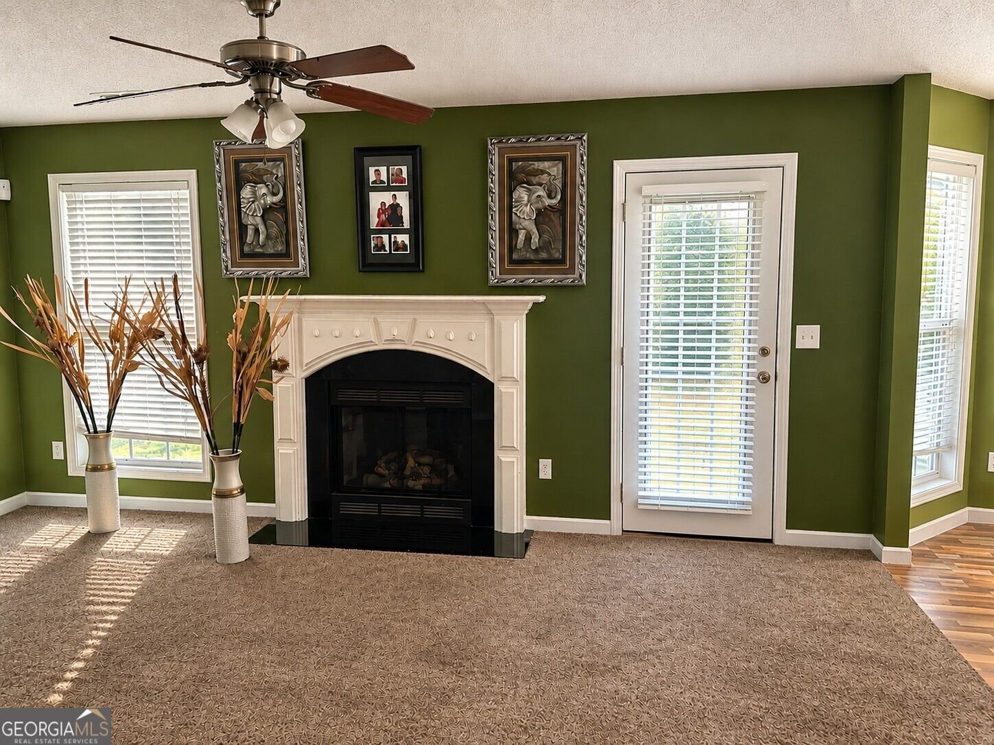1393 Amaryllis Way Riverdale - Photo 11