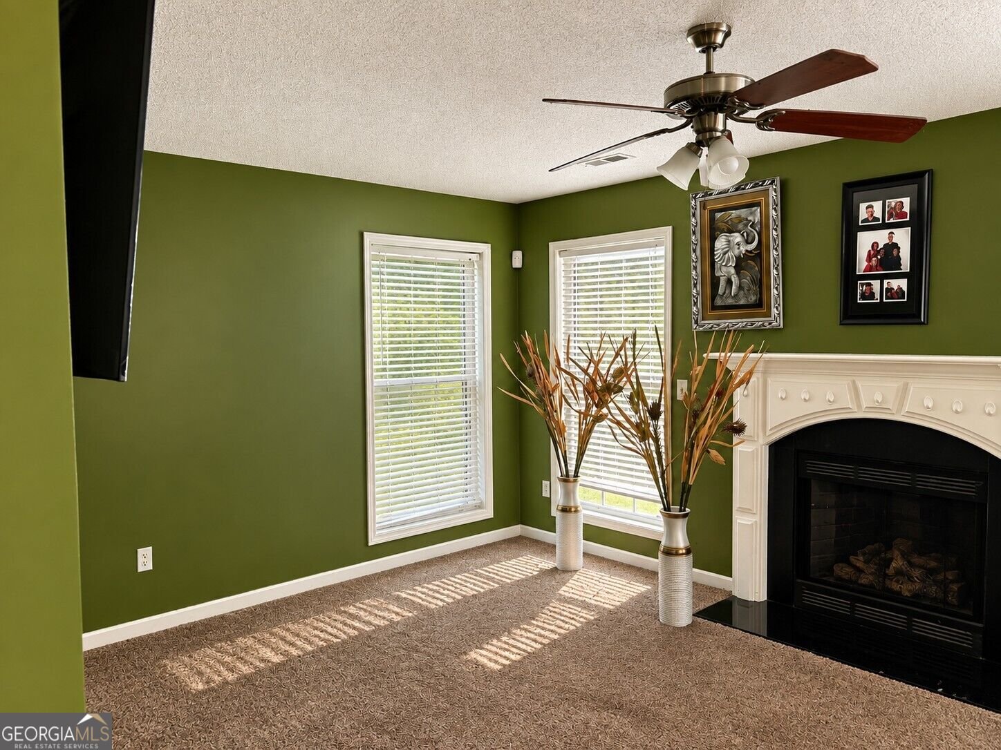 1393 Amaryllis Way Riverdale - Photo 12
