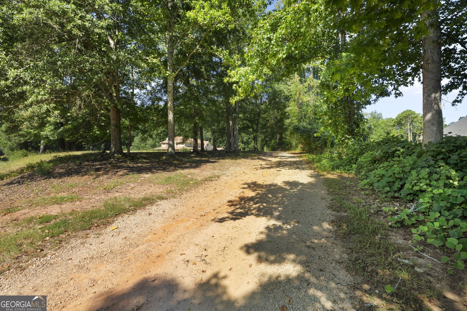 735 Chambers Road McDonough - Photo 39
