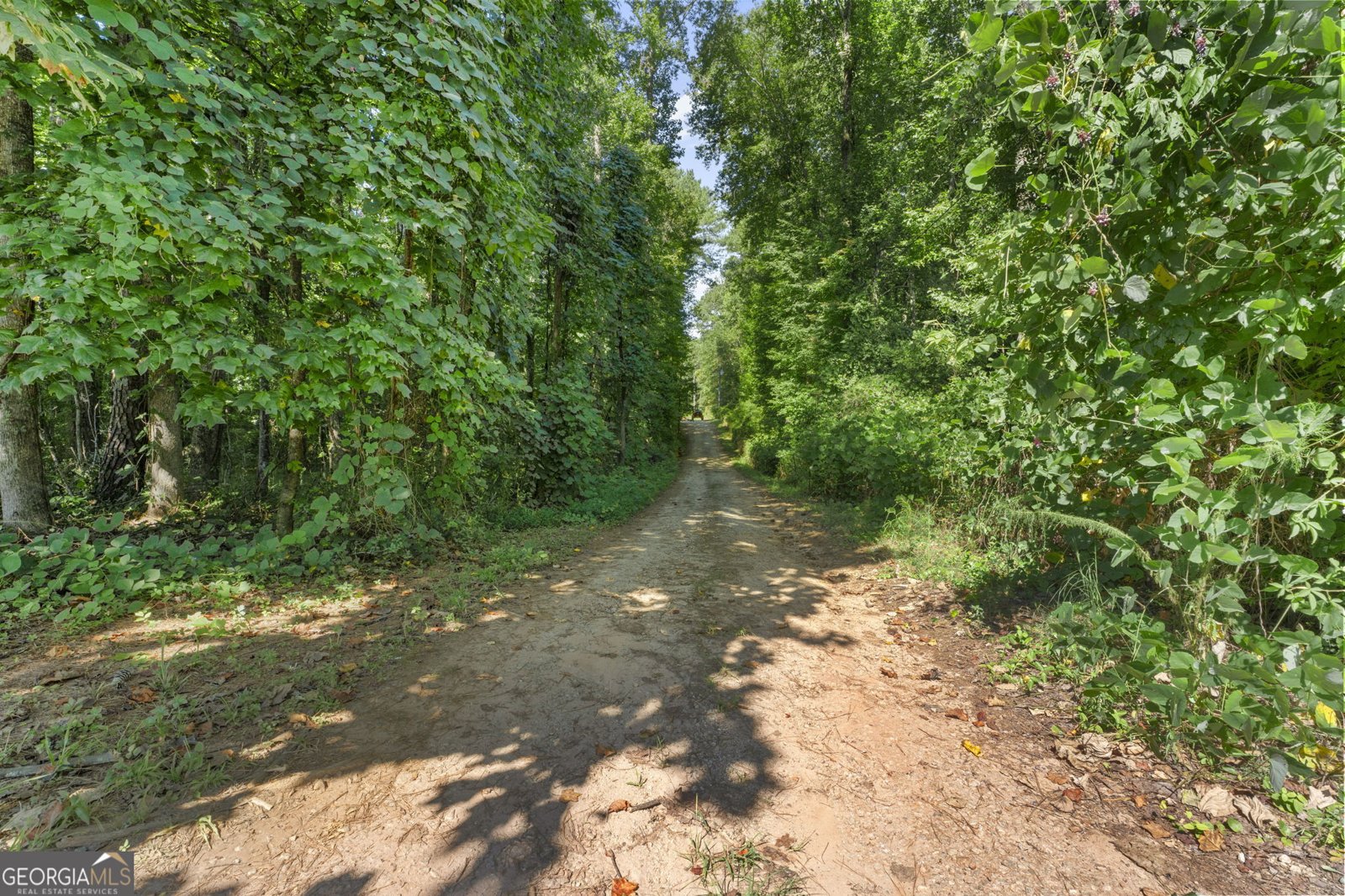 735 Chambers Road McDonough - Photo 40