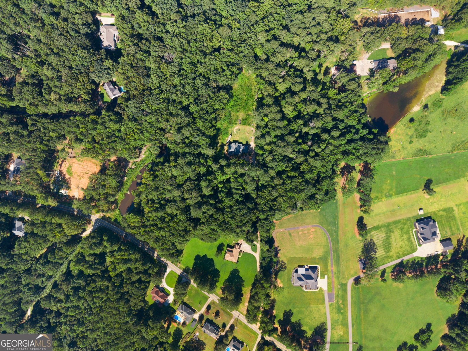 735 Chambers Road McDonough - Photo 43