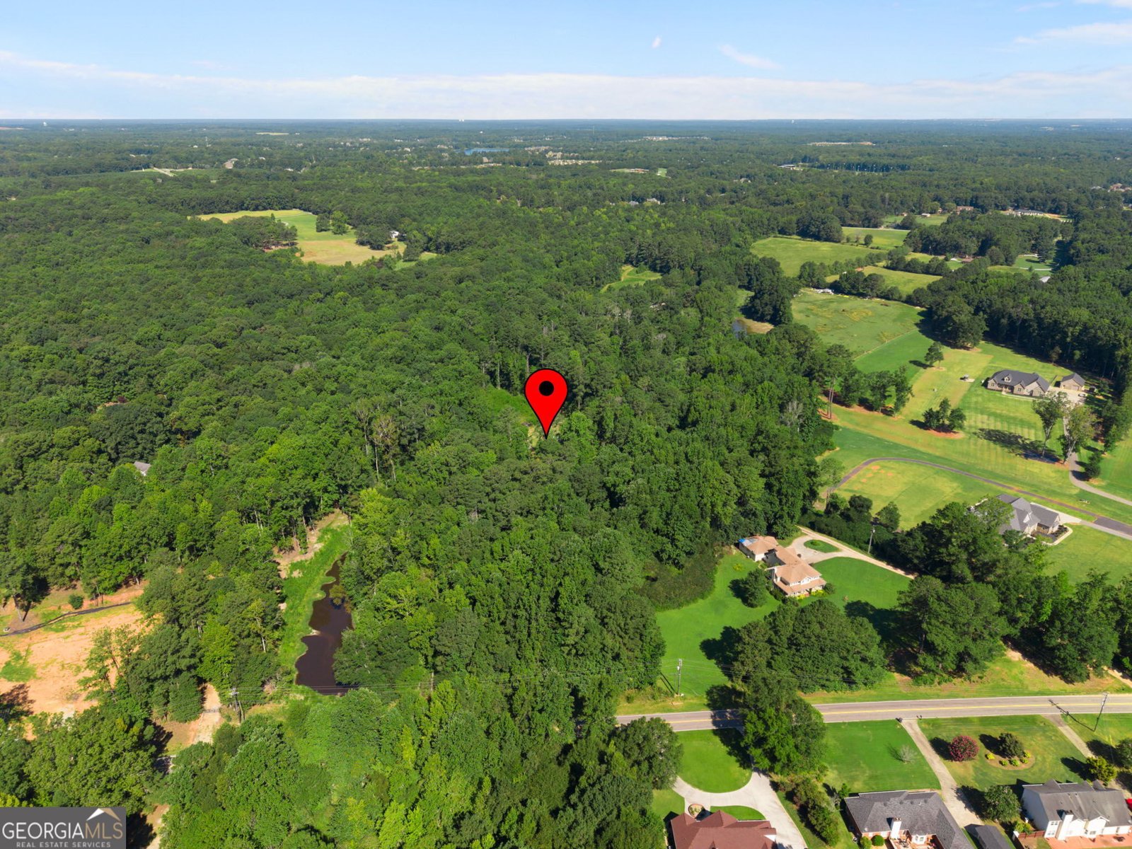 735 Chambers Road McDonough - Photo 45