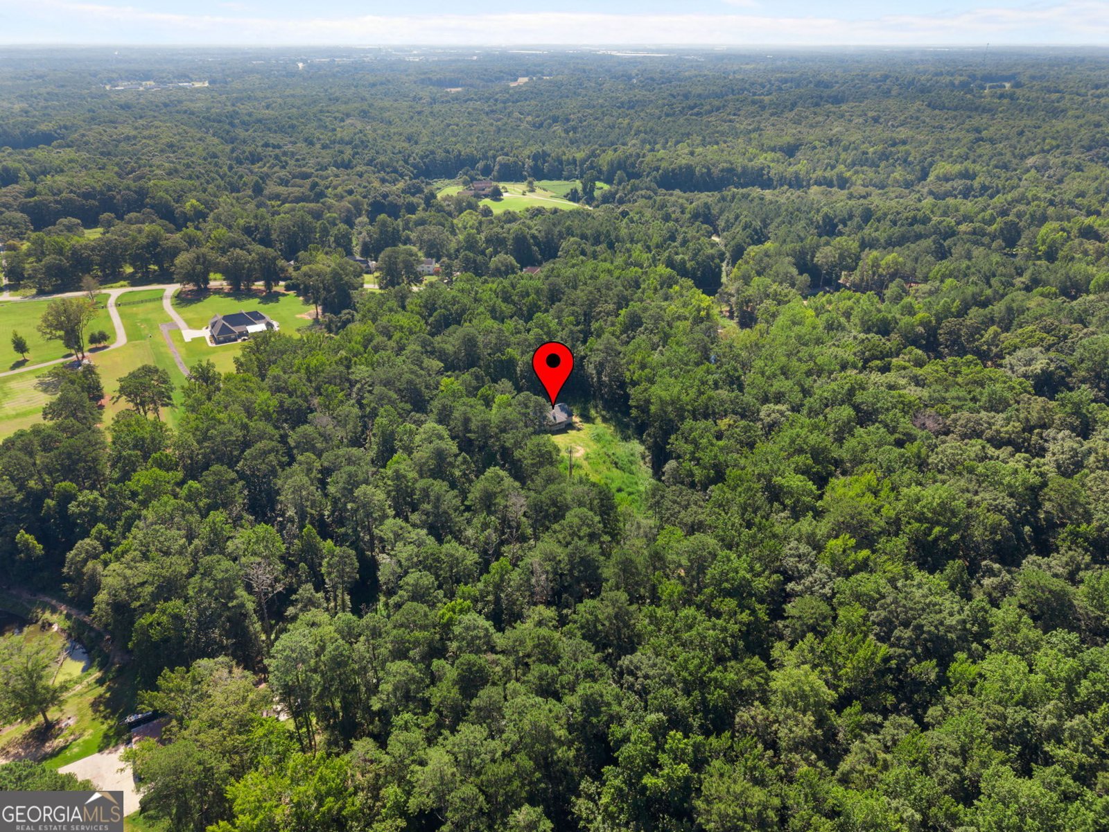 735 Chambers Road McDonough - Photo 46